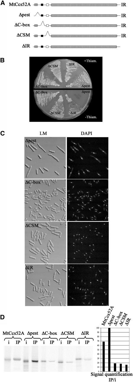 Figure 5.