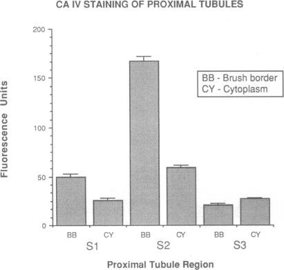 graphic file with name pnas01044-0123-c.jpg