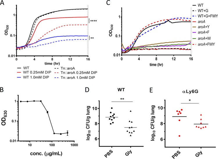 FIG 3