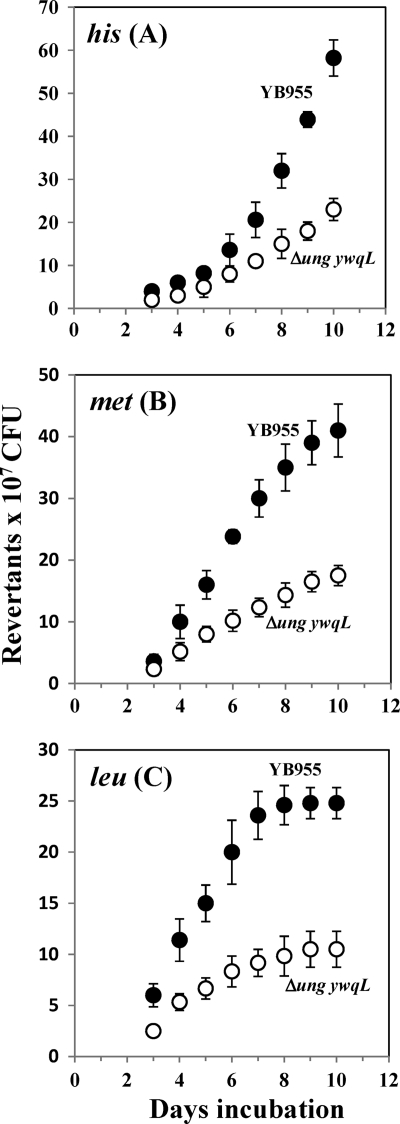 Fig 5