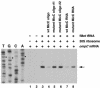 FIG. 6.