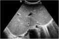Figura 6
