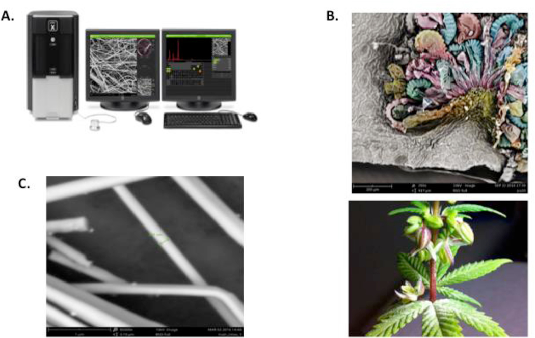Figure 10: