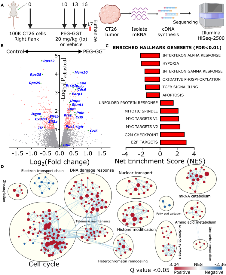 Figure 4