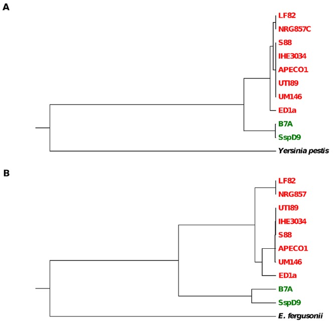 FIG 1 