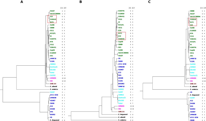 FIG 2 