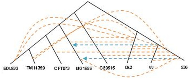 Fig 11