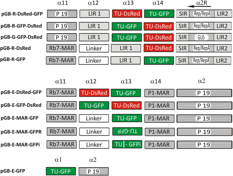 FIGURE 3