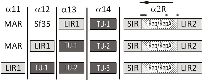 FIGURE 2