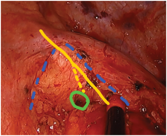 Figure 7: