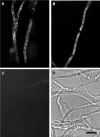 FIG. 4.