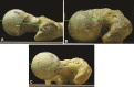 Fig. 1A–C
