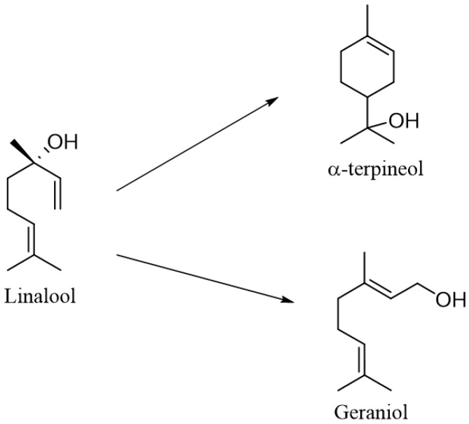 Scheme 4