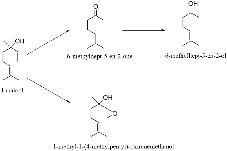 Scheme 5