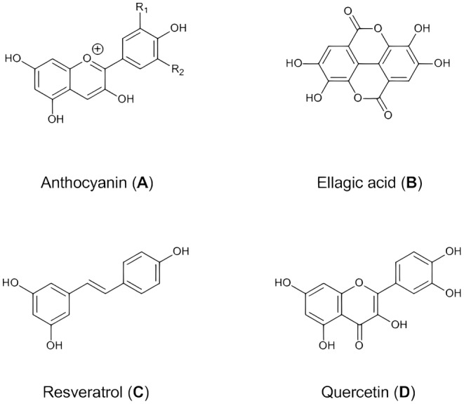 FIGURE 2