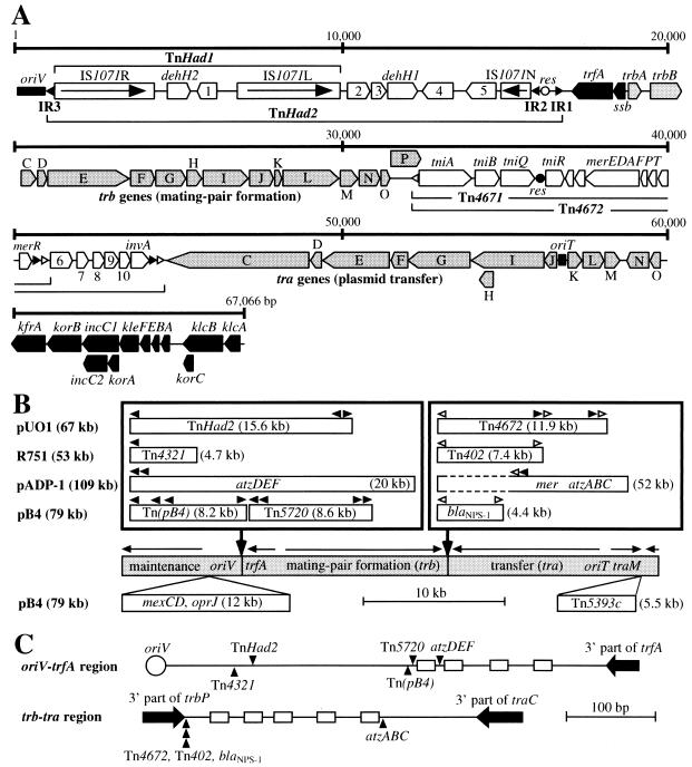 FIG. 1.