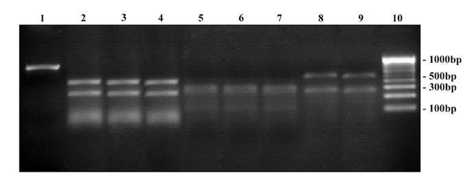 [Table/Fig-6]: