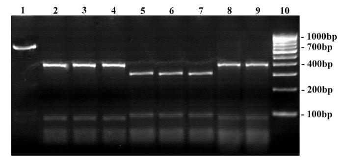 [Table/Fig-5]: