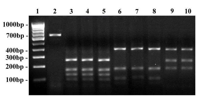 [Table/Fig-4]: