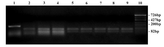 [Table/Fig-7]: