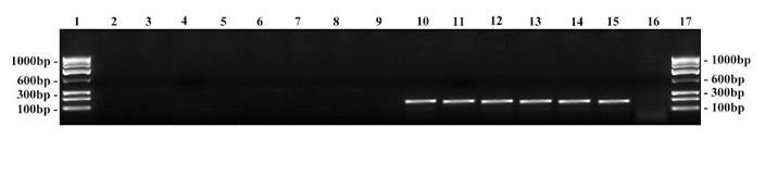 [Table/Fig-2]: