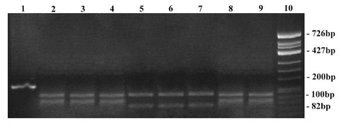 [Table/Fig-8]: