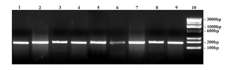 [Table/Fig-9]: