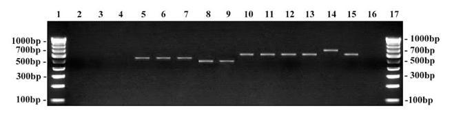 [Table/Fig-1]: