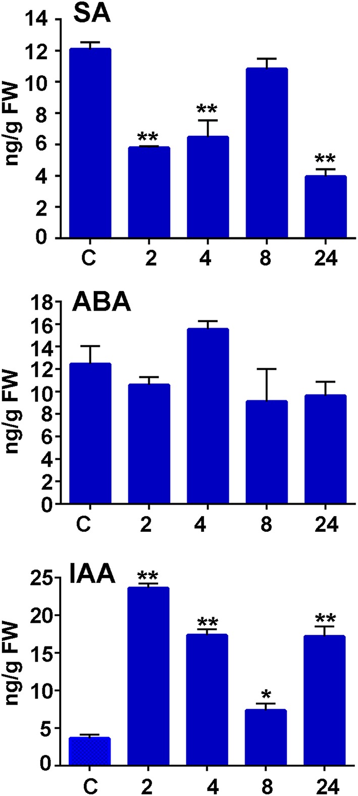 Figure 7