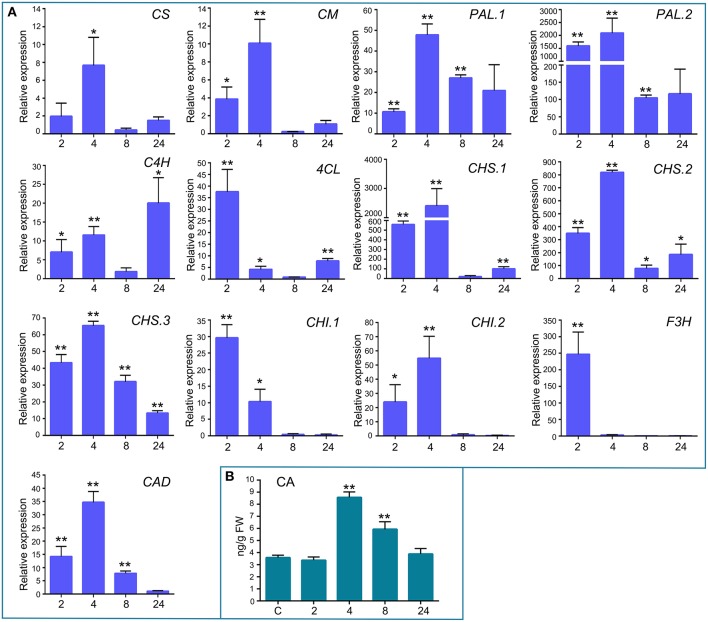 Figure 4