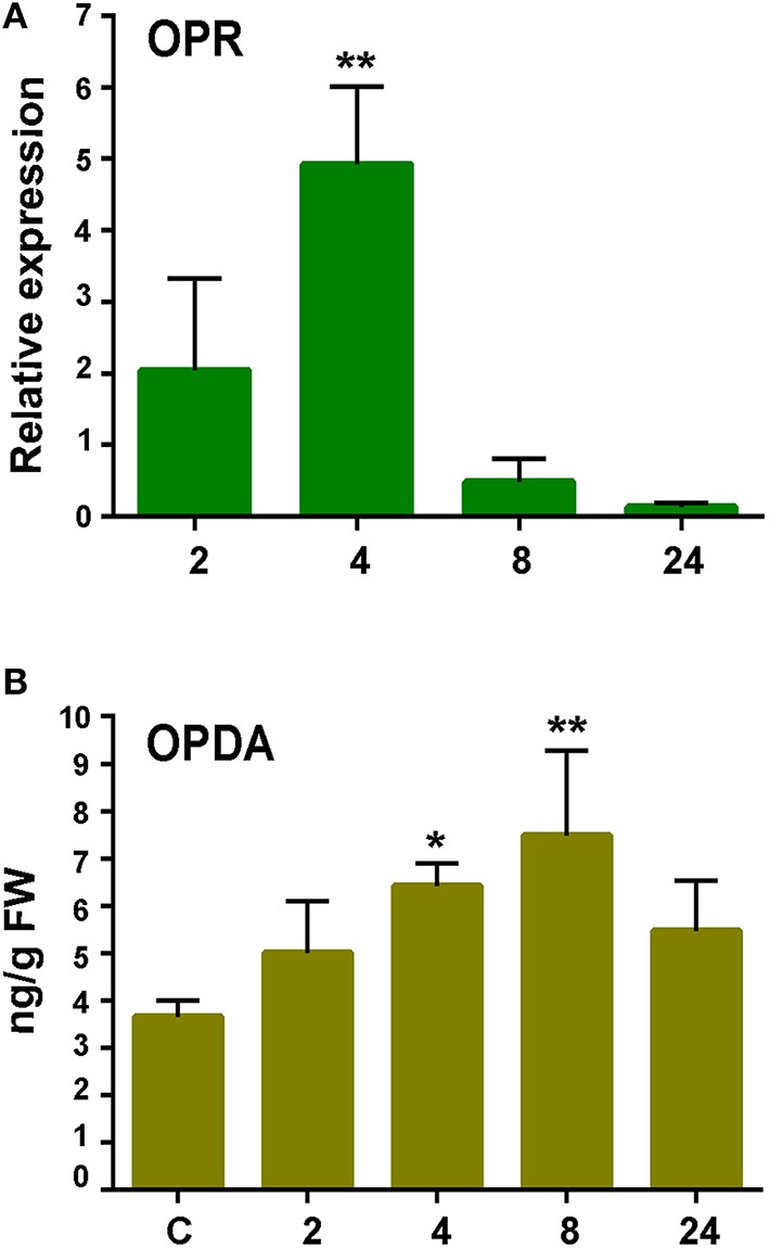 Figure 6