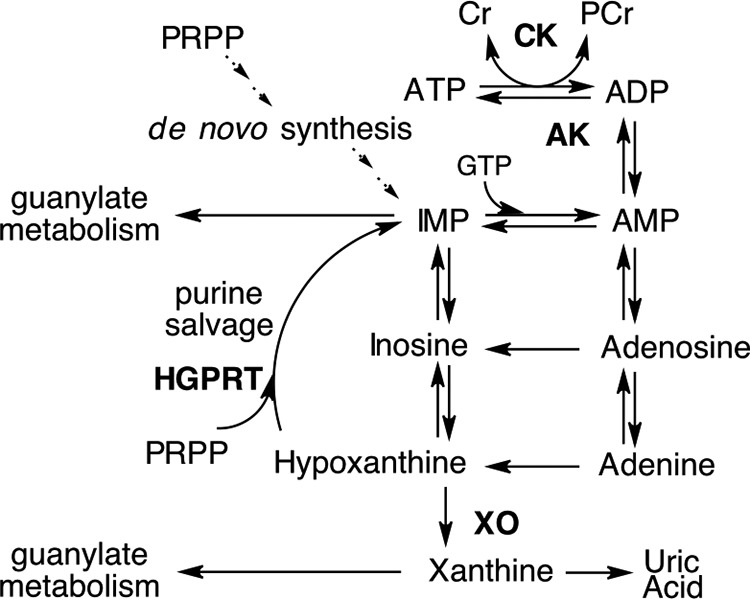 Figure 12.