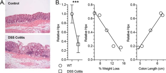 Figure 11.