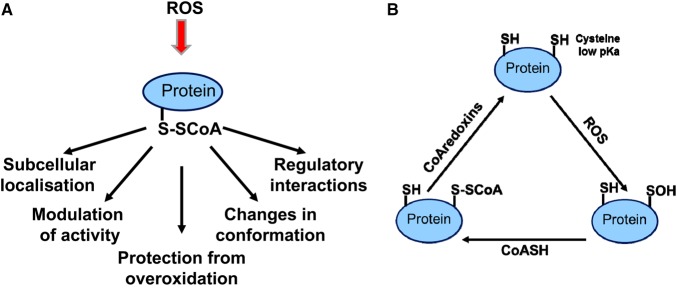 Figure 3.