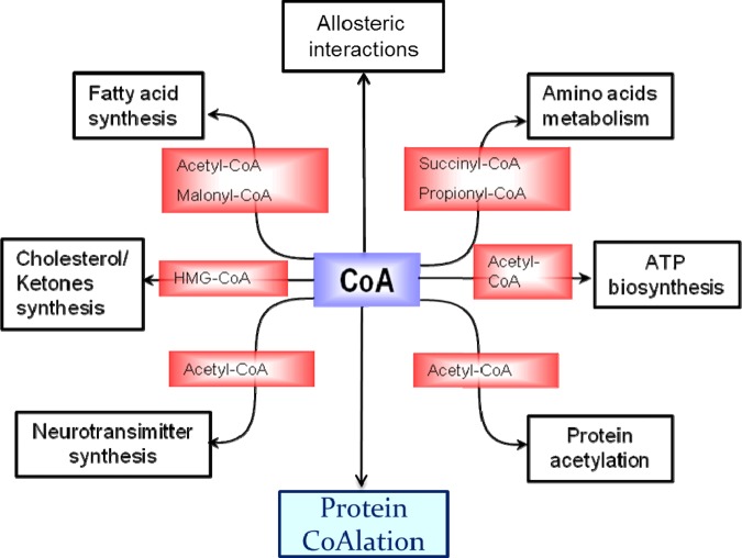 Figure 2.