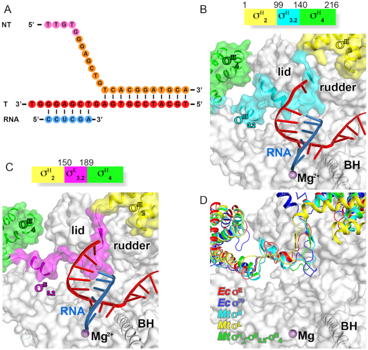 Figure 3.