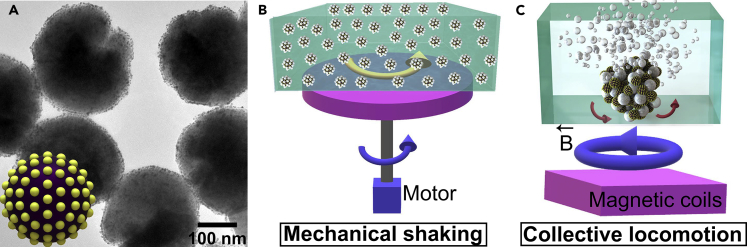 Figure 1