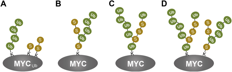 Figure 3