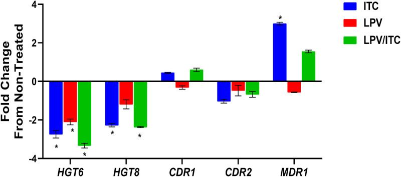 FIG 6