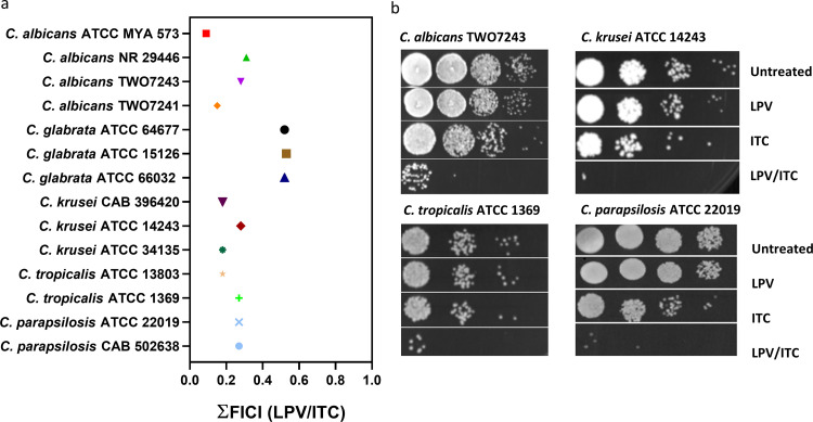 FIG 3