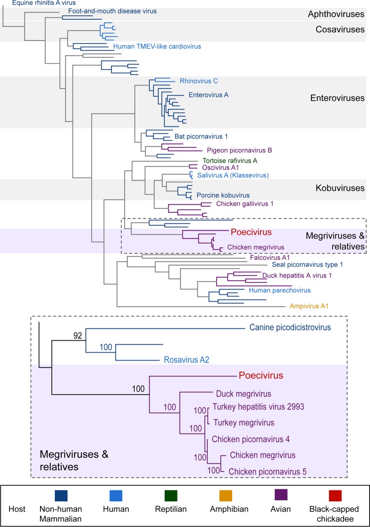 FIG 3 