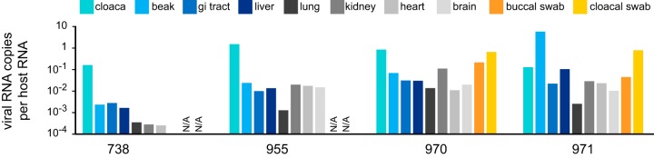 FIG 4 