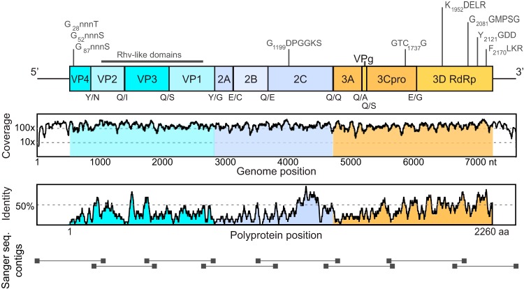 FIG 2 