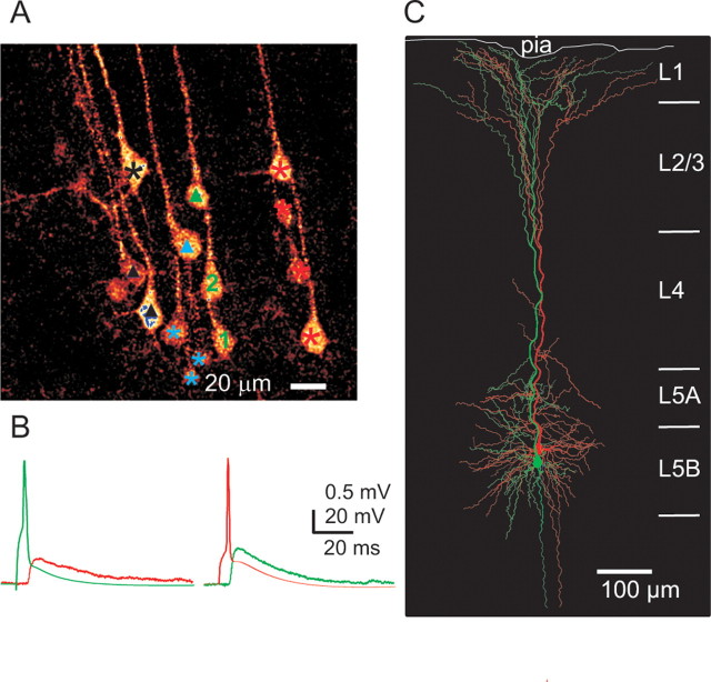 Figure 6.