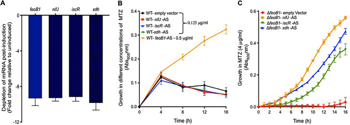 FIG 3