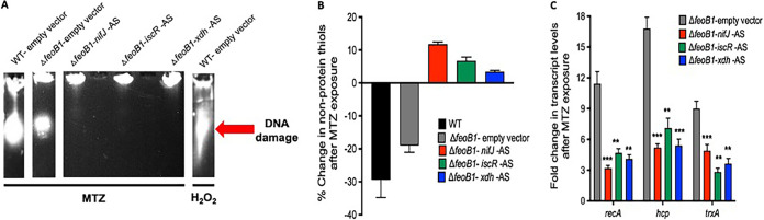 FIG 4