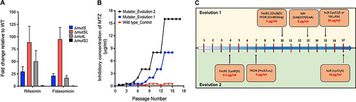 FIG 1