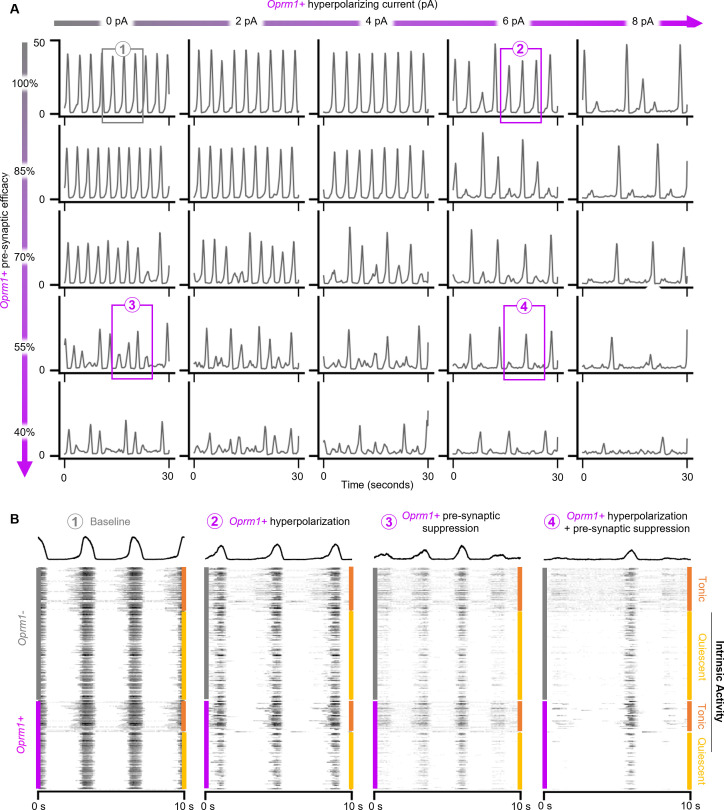 Figure 7—figure supplement 2.