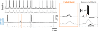 Figure 3—figure supplement 3.