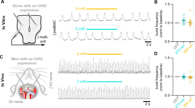 Figure 6—figure supplement 3.